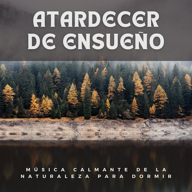 Atardecer de Ensueño: Música Calmante de la Naturaleza para Dormir - Música para Dormir Con Relajantes Sonidos de la Naturaleza
