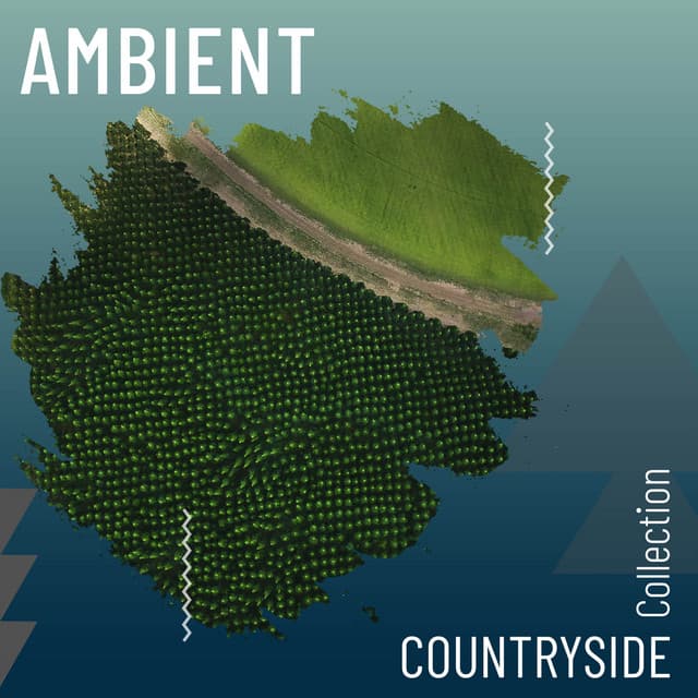 Ambient Countryside Collection - Rest & Relax Nature Sounds Artists