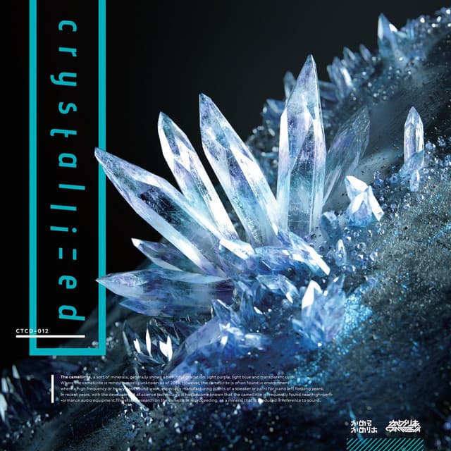 crystallized - Camellia