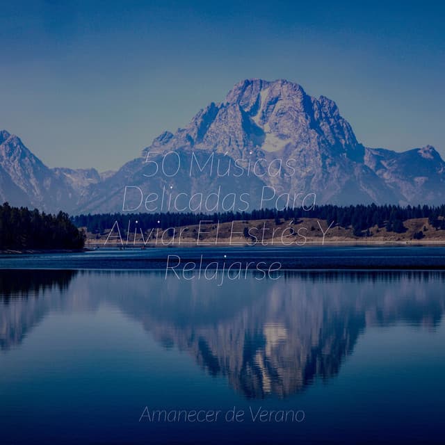 50 Músicas Delicadas Para Aliviar El Estrés Y Relajarse - Chillout Lounge