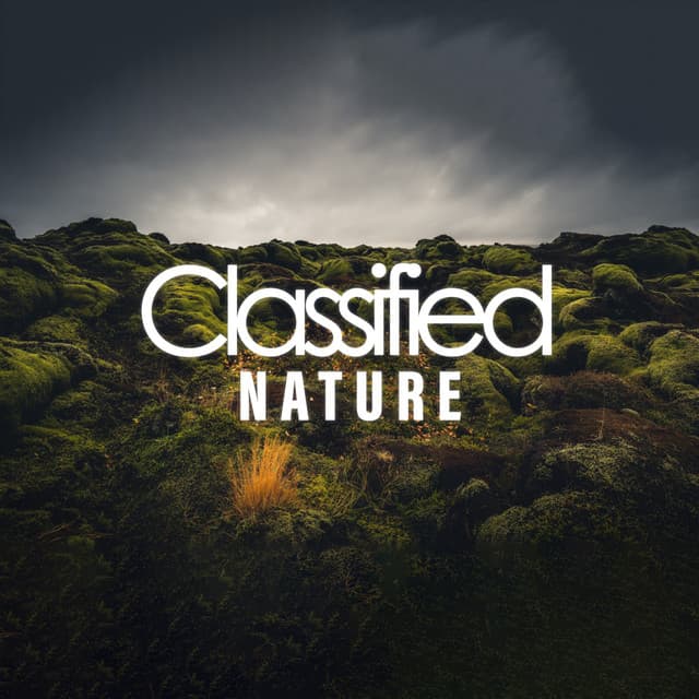 Classified Nature - Sleep Sounds of Nature