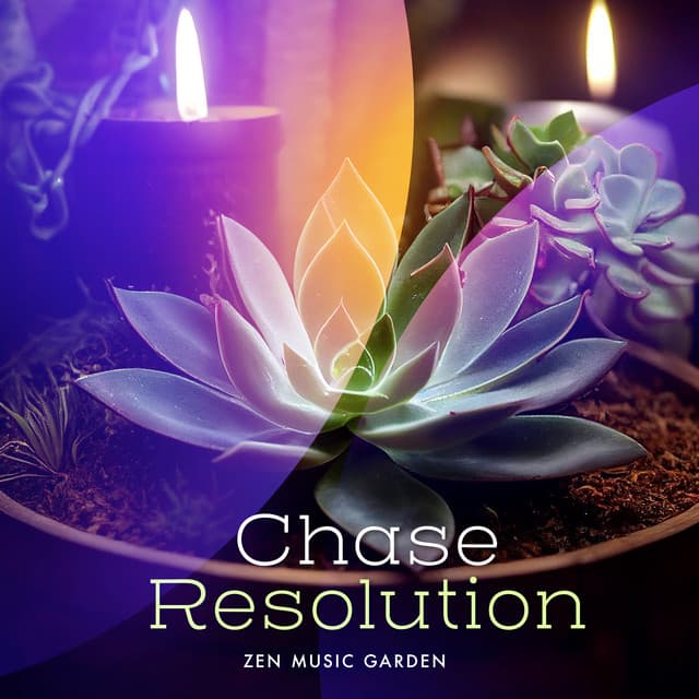 Chase Resolution - Zen Music Garden