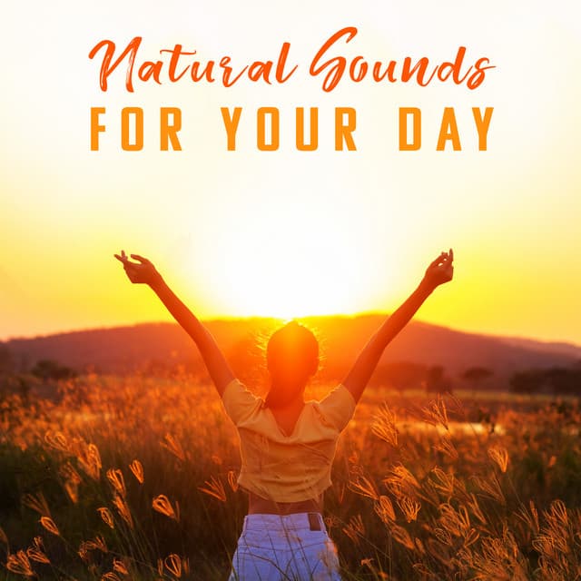 Sun Salutations: Natural Sounds for Your Day - Mother Nature Sound FX