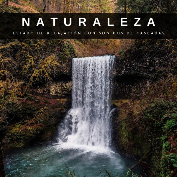 Ruido de Meditación