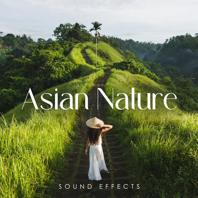Asian Nature Sound Effects - Asian Flute Music Oasis