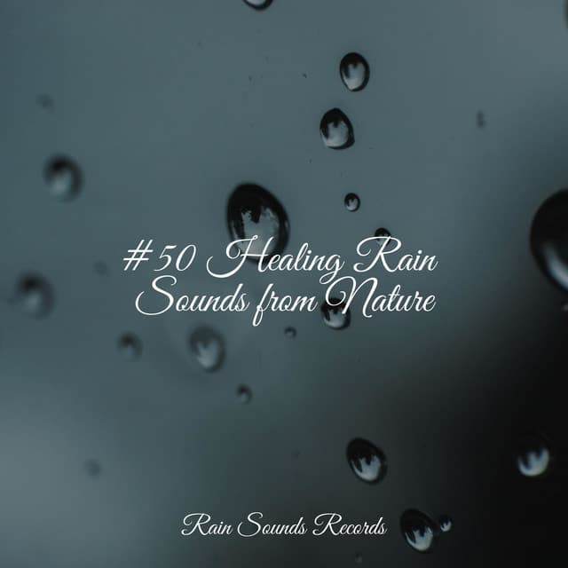 #50 Healing Rain Sounds from Nature - Sonido Del Bosque y Naturaleza