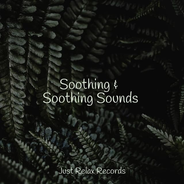Soothing & Soothing Sounds - Lullabyes
