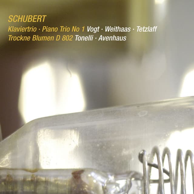 Schubert: Piano Trio No. 1 in B-Flat Major, D. 898; Introduction and Variations, D. 802 - Franz Schubert