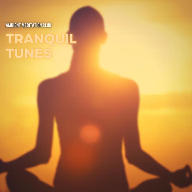 Tranquil Tunes: Ambient Music for Meditation - Ambient Meditation Club