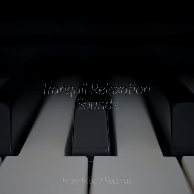 Tranquil Relaxation Sounds - Reiki Music