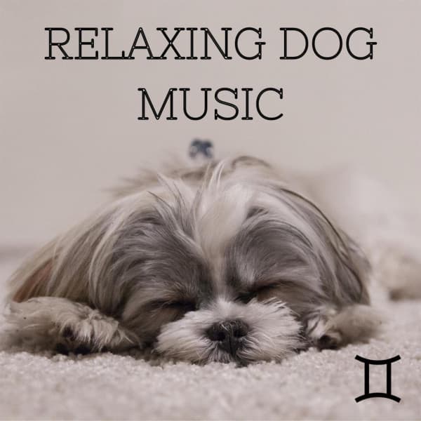 Relaxing Dog Music - Lofi Gemini