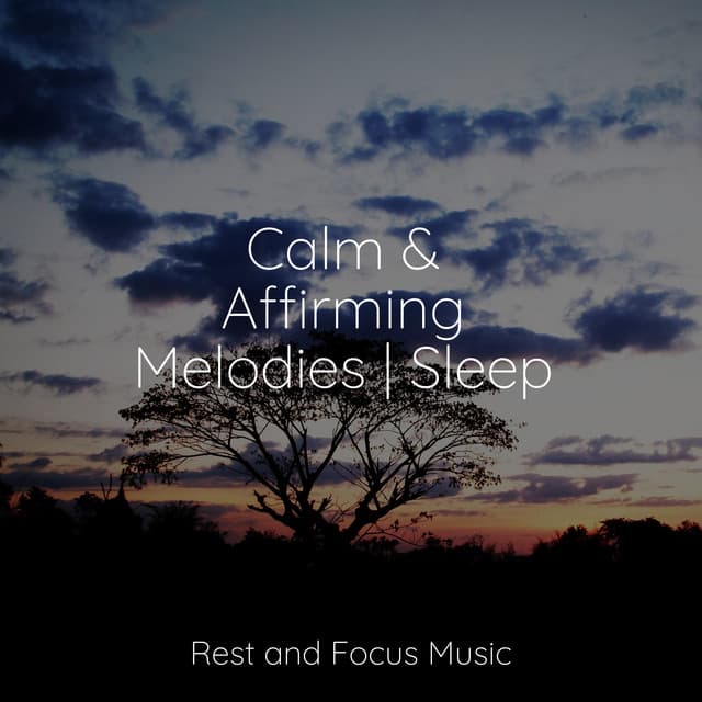 Calm & Affirming Melodies | Sleep - Deep Focus