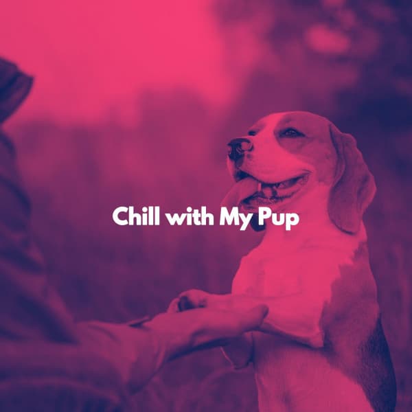 Chill with My Pup - Gentle Morning Music