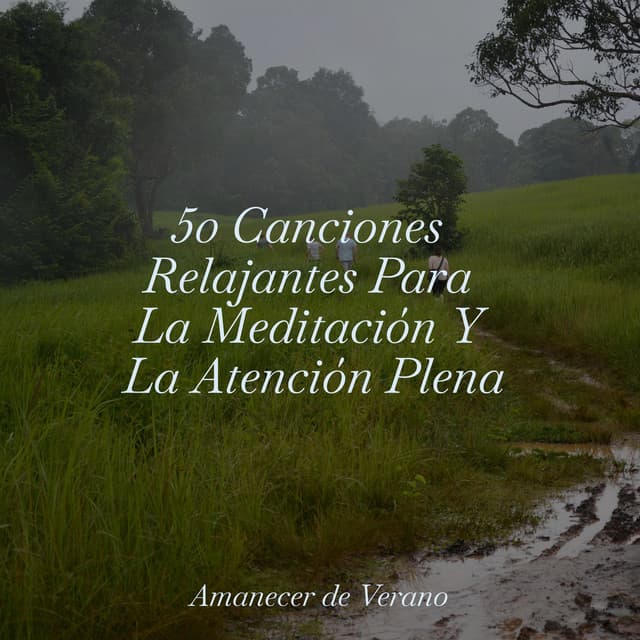 50 Canciones Relajantes Para La Meditación Y La Atención Plena - Música relaxante