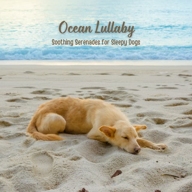 Ocean Lullaby: Soothing Serenades for Sleepy Dogs - Ocean Sounds