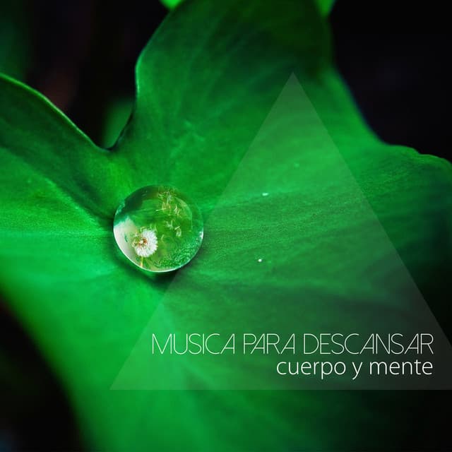 Musica Relajante Specialistas & Musica Relajante