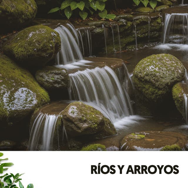 Ríos y Arroyos: Melodías de la tormenta - Ruido Blanco Hart