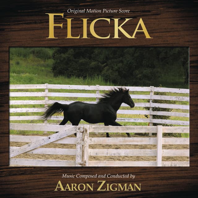 Flicka - Aaron Zigman