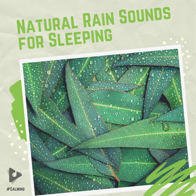 Natural Rain Sounds for Sleeping - #Calming