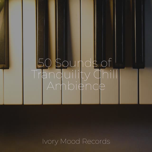 50 Sounds of Tranquility Chill Ambience - Deep Sleep Meditation