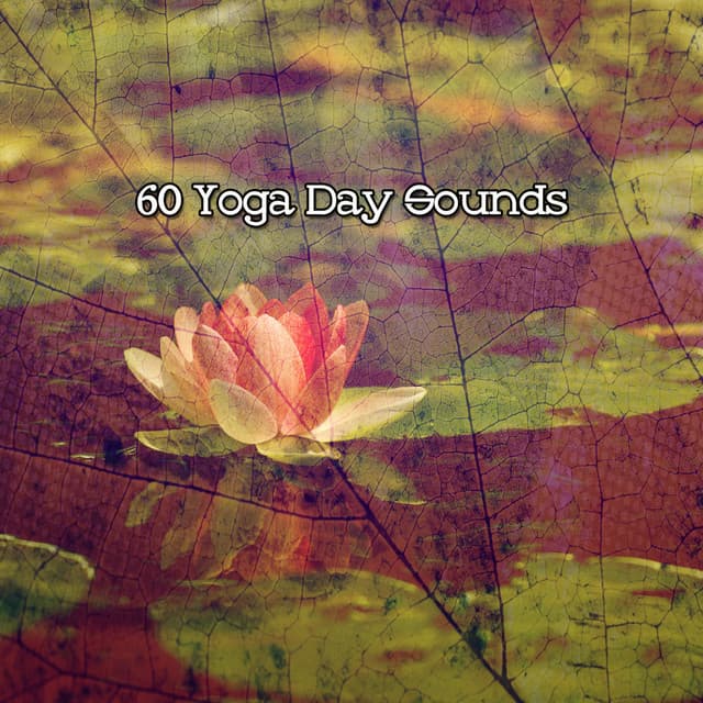 60 Yoga Day Sounds - Zen Meditation