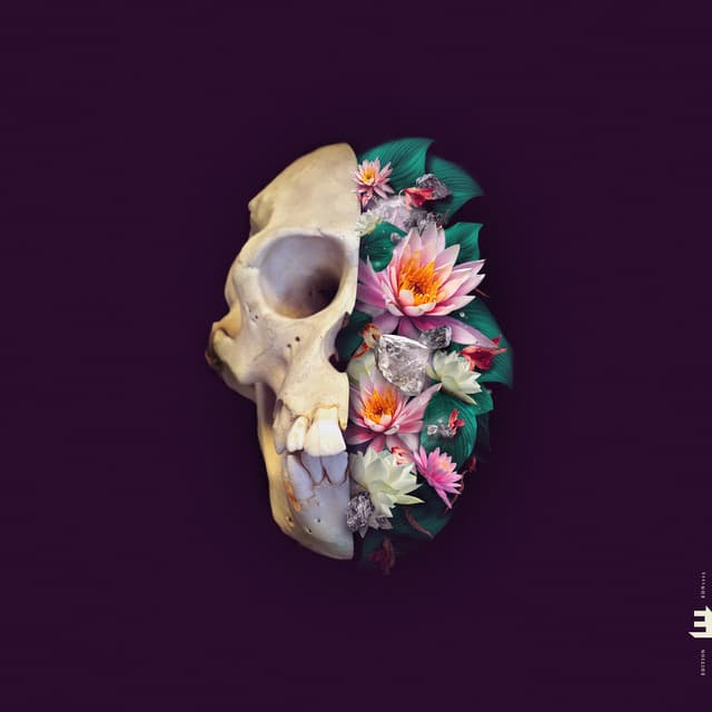 Monkey Mind - Verneri Pohjola