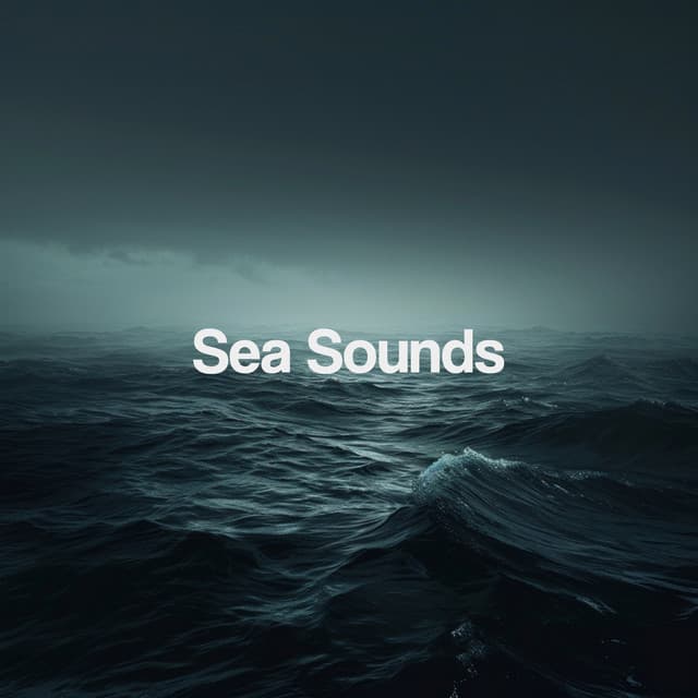 Sea Sounds - Relajacion Del Mar