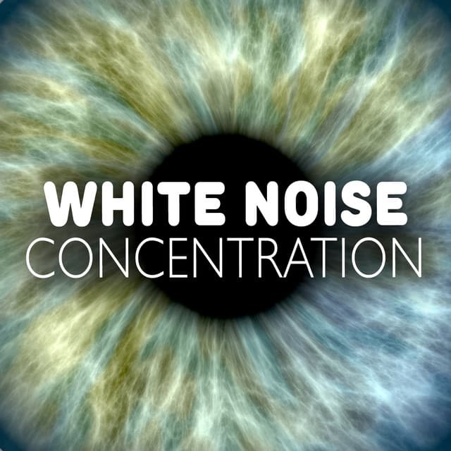 White Noise Concentration - White Noise Masters
