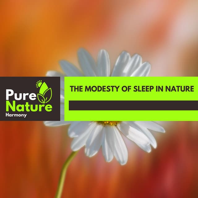 The Modesty of Sleep in Nature - Nature Field Recordings
