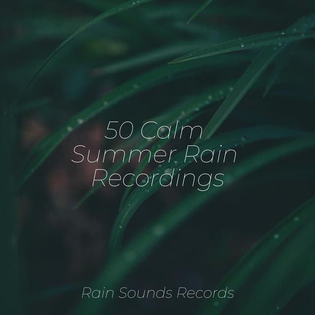 50 Calm Summer Rain Recordings - Yoga Music