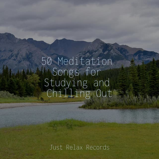 50 Meditation Songs for Studying and Chilling Out - Chakra Balancing Sound Therapy