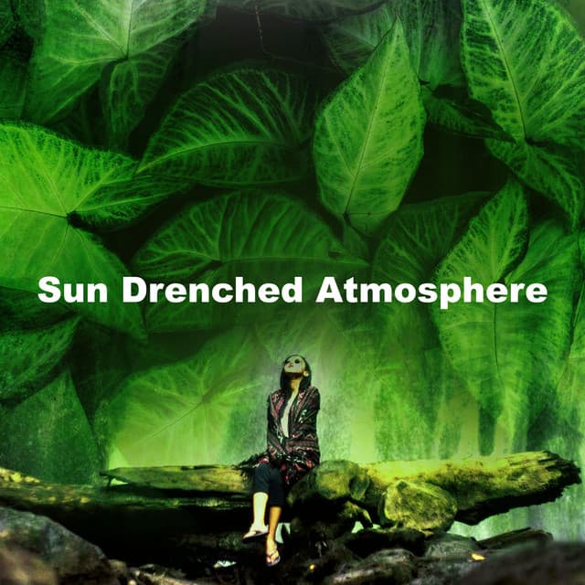 Sun Drenched Atmosphere - Calming Sounds