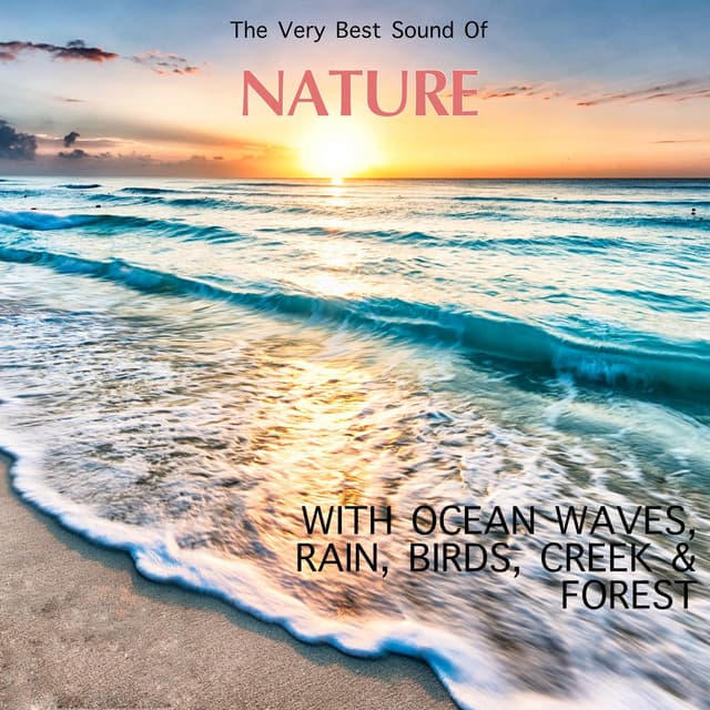 The Very Best Sound Of Nature - Ocean Waves, Rain, River, Birds - Thanael Wendtura