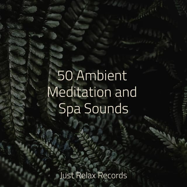 50 Ambient Meditation and Spa Sounds - Meditación Guiada