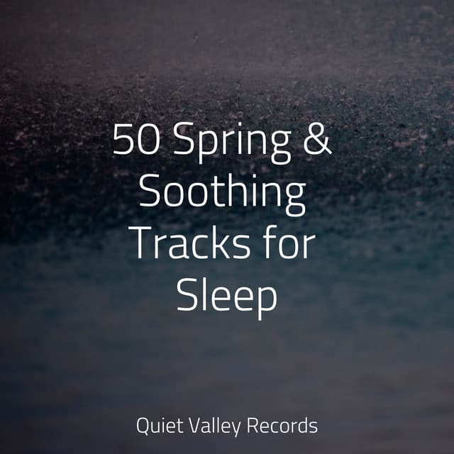 50 Spring & Soothing Tracks for Sleep - Massagem