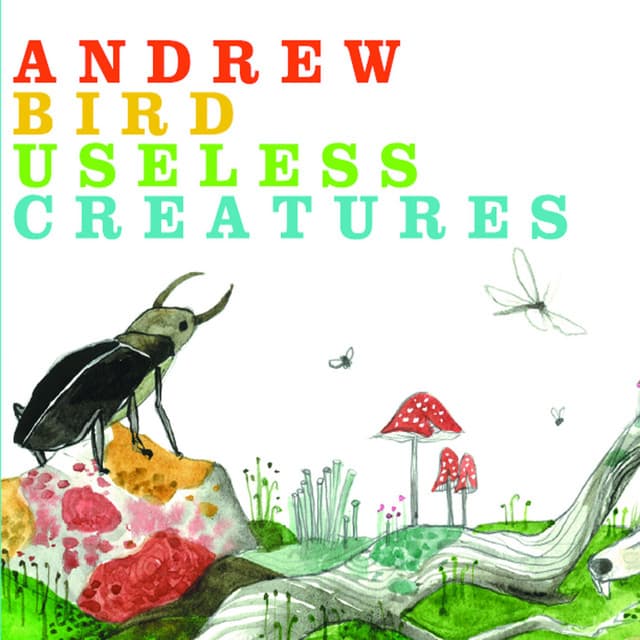 Useless Creatures - Andrew Bird