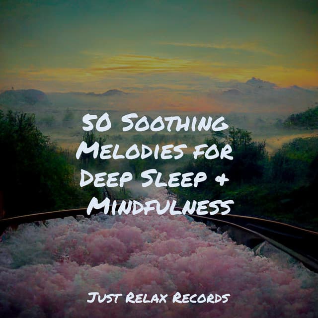 50 Soothing Melodies for Deep Sleep & Mindfulness - Rest & Relax Nature Sounds Artists