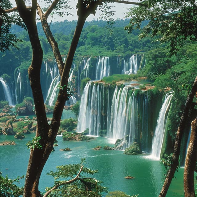 Retiro Pacífico Del Río: Ecos Relajantes Del Río - Música ambiental relajante