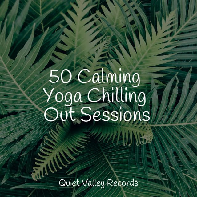 50 Calming Yoga Chilling Out Sessions - Meditative Music Guru