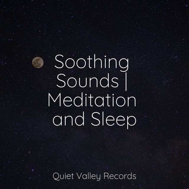 Soothing Sounds | Meditation and Sleep - Serenity Spa Music Relaxation