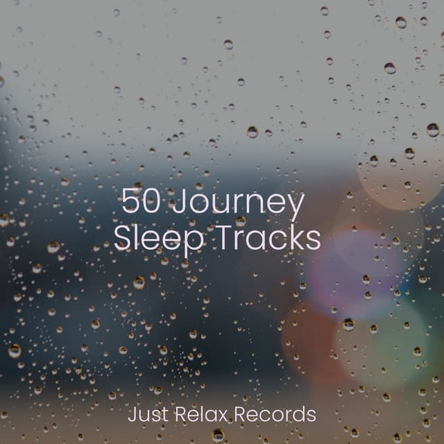 50 Journey Sleep Tracks - New Age
