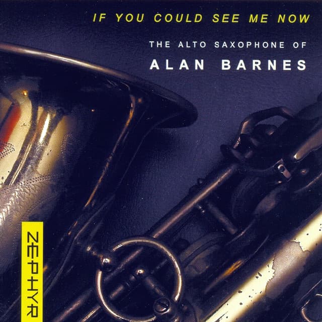 If You Could See Me Now - Alan Barnes