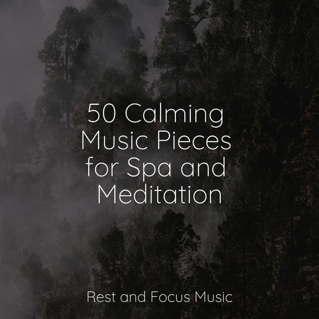 50 Calming Music Pieces for Spa and Meditation - Anxiety Relief
