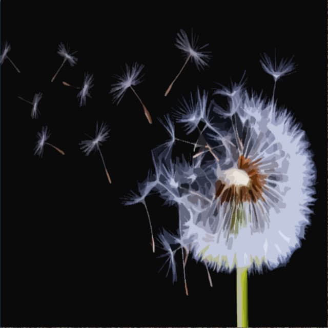 The Wind and the Rain - Rain Storm Sounds