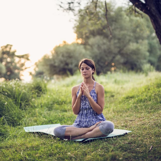 Ambient Dreamscapes: Meditation in Nature's Embrace - Mindful Measures