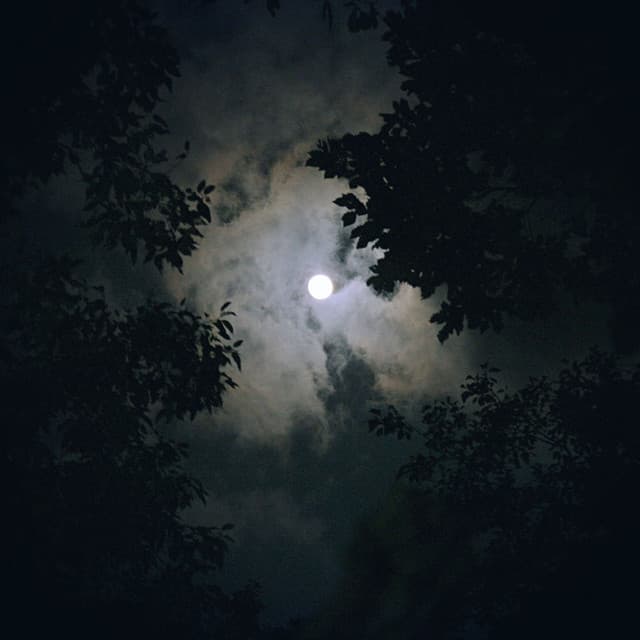 Quiet Night Beats: Hip Hop for Relaxation - Chillout Lounge Relax