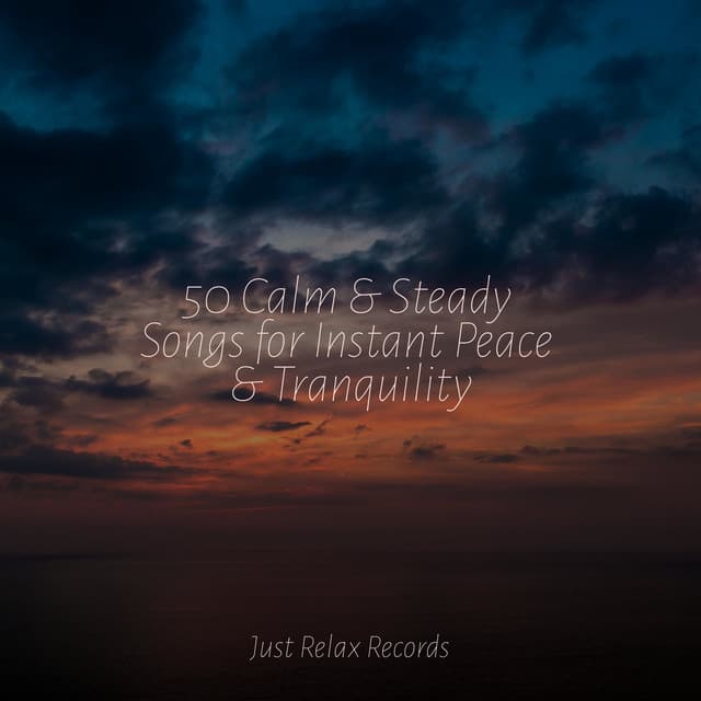 50 Calm & Steady Songs for Instant Peace & Tranquility - Dog Music