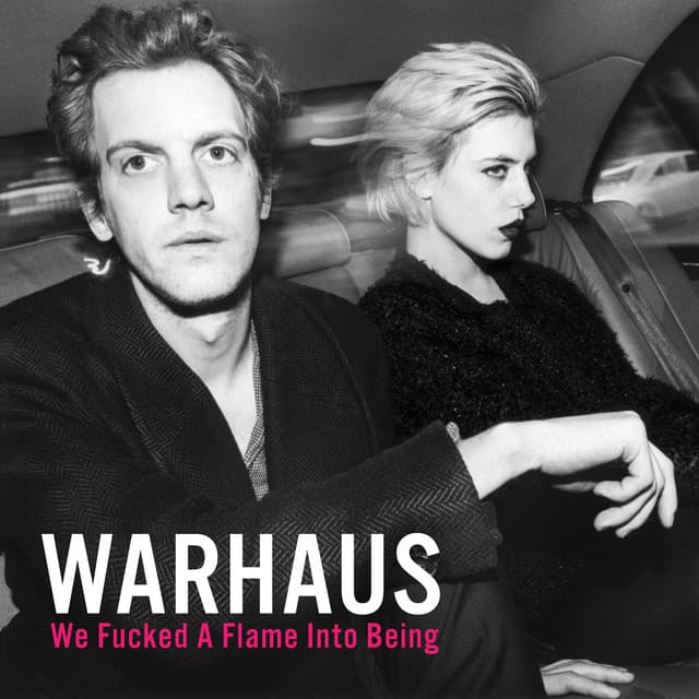 We Fucked a Flame Into Being - Warhaus