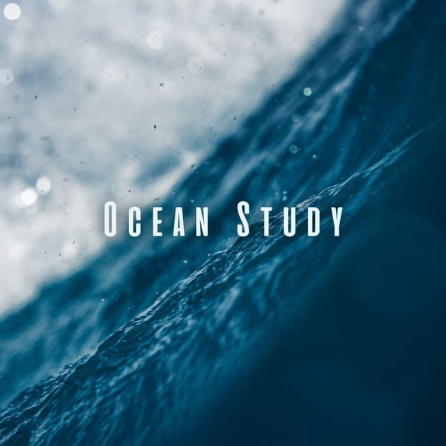 Ocean Study: Mindful Chill Sounds for Comprehension - In The Ocean (Sound FX)