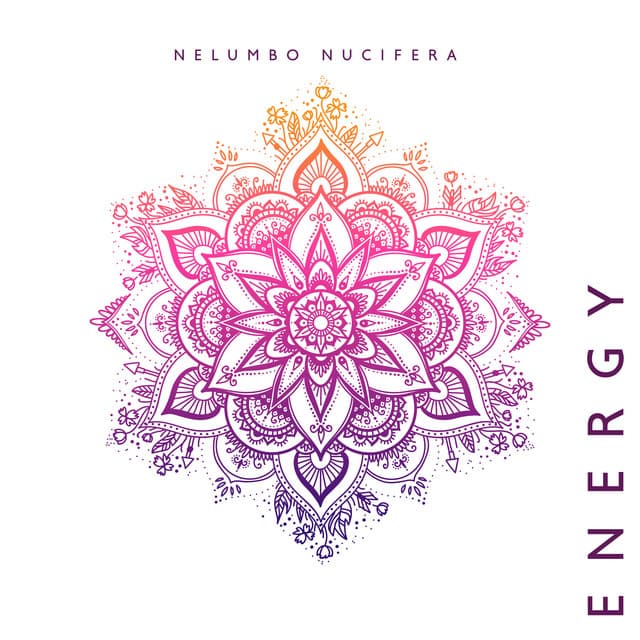 Nelumbo Nucifera Energy - Bhuvi Ananda